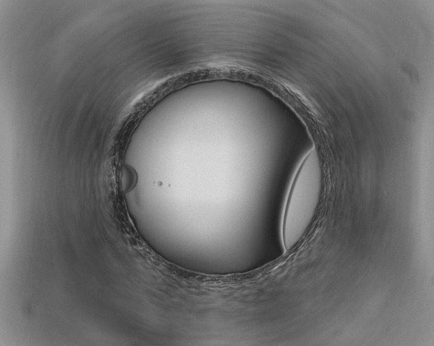 X0000113270776200909101310