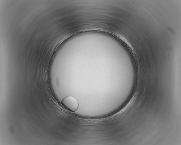 X0000113270777200909101310