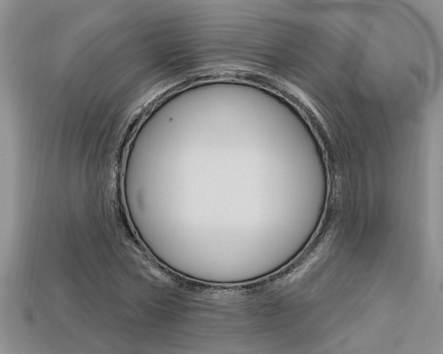X0000113270778200909101310