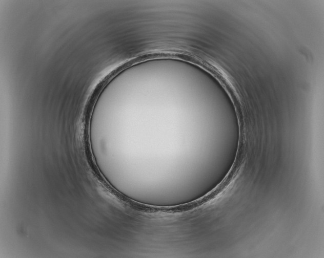 X0000113270779200909101310