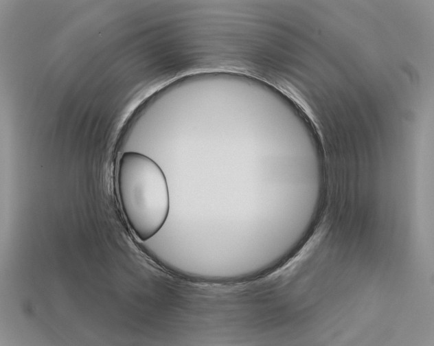 X0000113270781200909101310