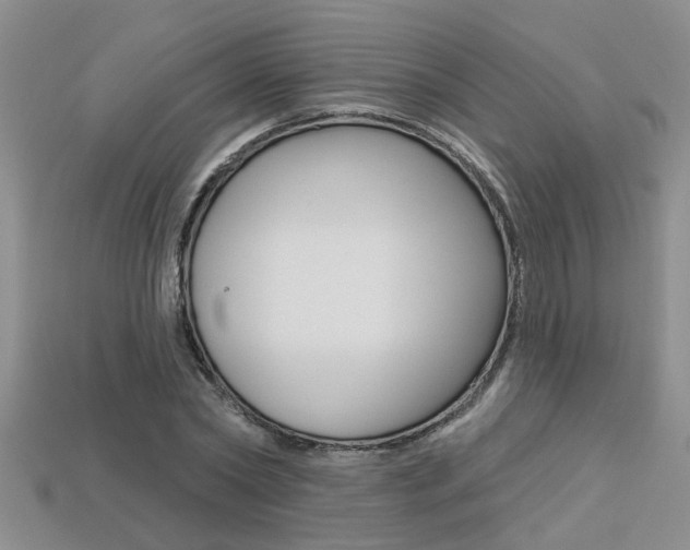 X0000113270782200909101310