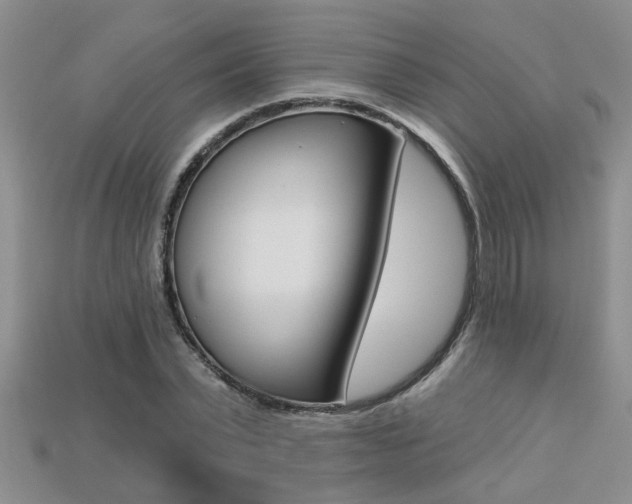 X0000113270783200909101310