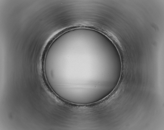 X0000113270784200909101310