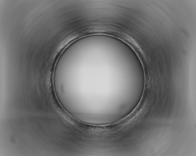 X0000113270786200909101310