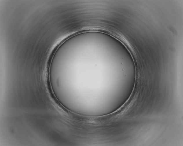 X0000113270787200909101310