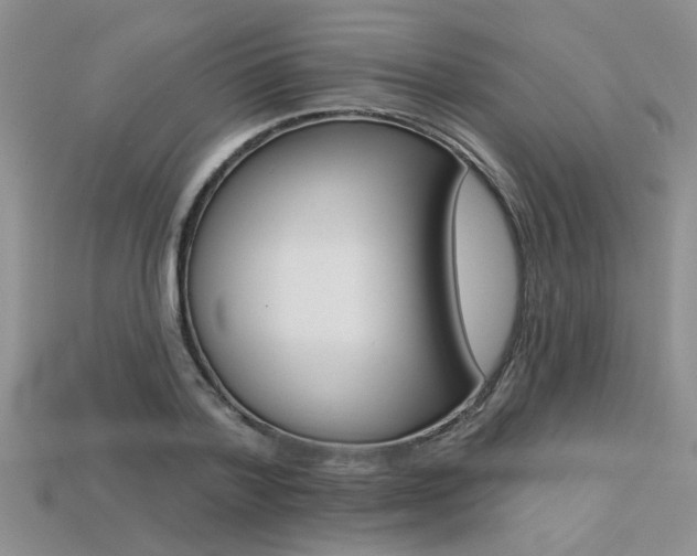 X0000113270788200909101310