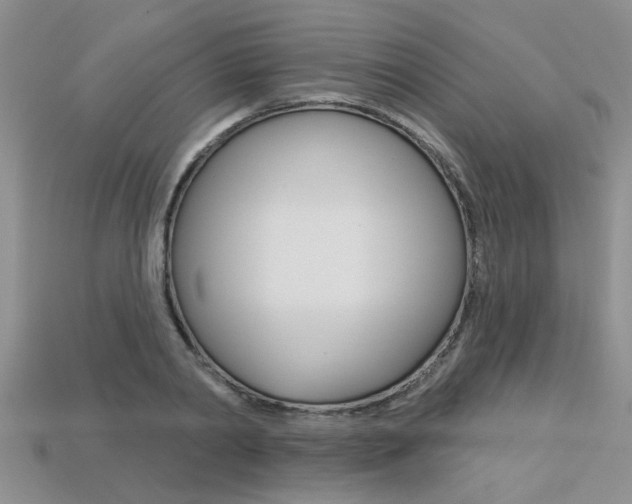 X0000113270790200909101310