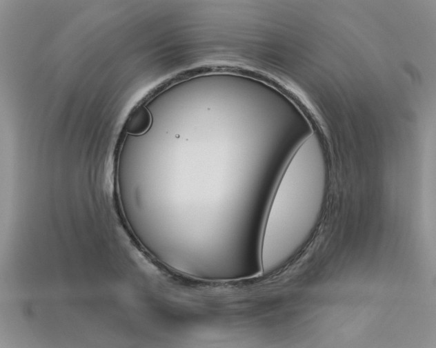 X0000113270791200909101310