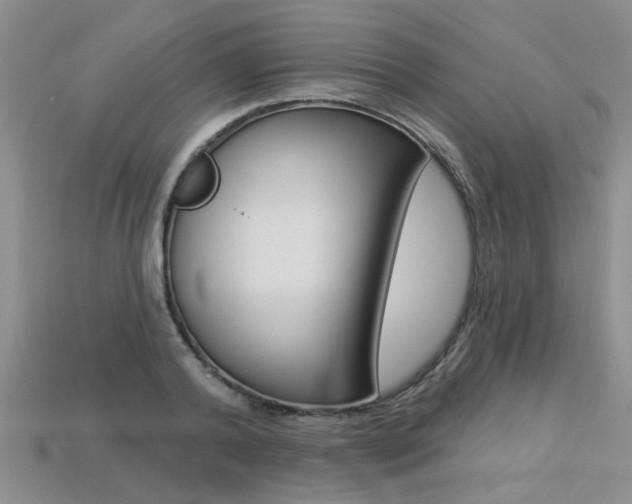 X0000113270792200909101310