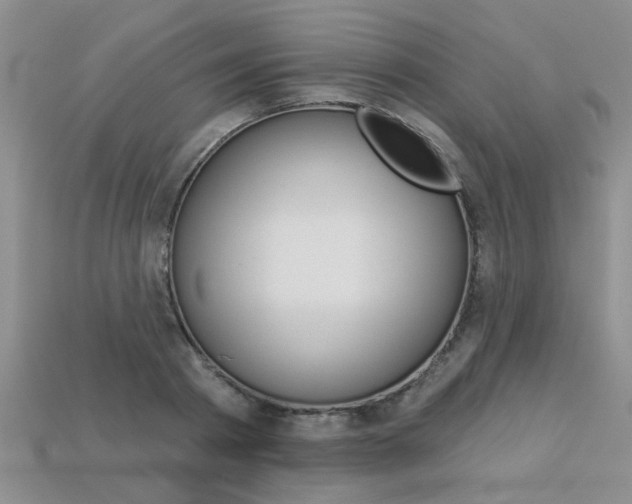 X0000113270793200909101310
