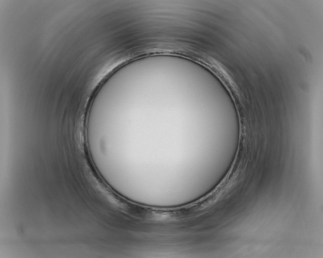 X0000113270794200909101310