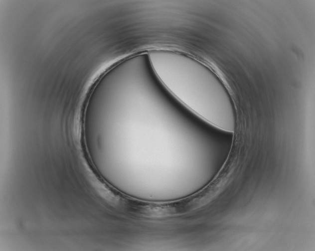 X0000113270795200909101310