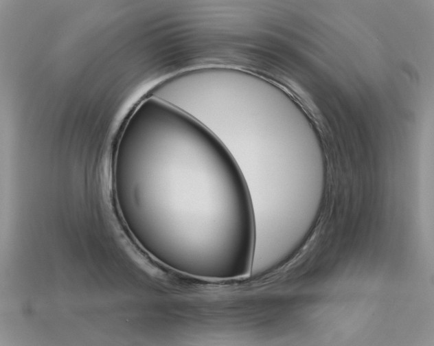 X0000113270796200909101310