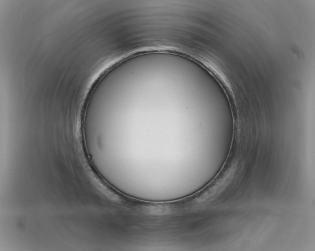 X0000113270797200909101310