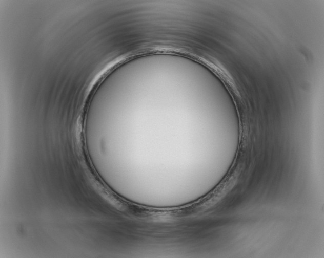 X0000113270798200909101310