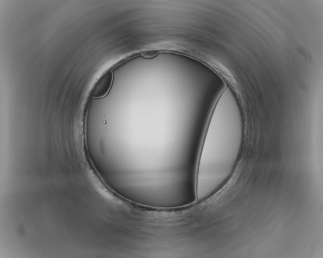 X0000113270800200909101310