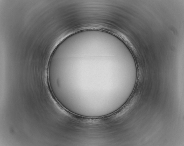 X0000113270802200909101309