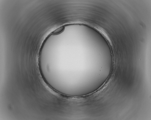 X0000113270805200909101309