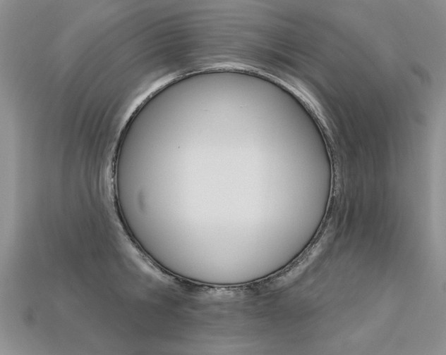 X0000113270806200909101309
