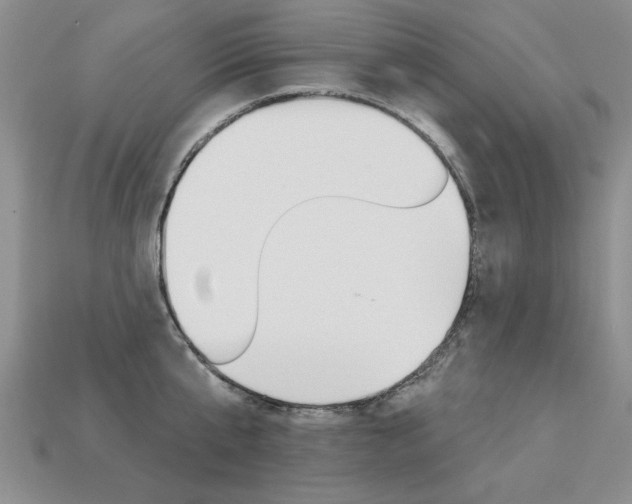X0000113270807200909101309