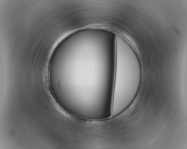 X0000113270808200909101309