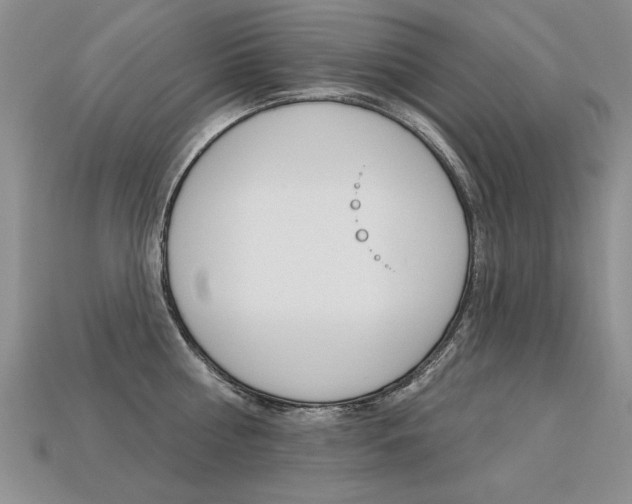 X0000113270810200909101309