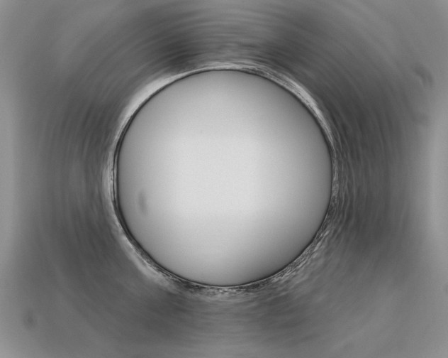 X0000113270811200909101309