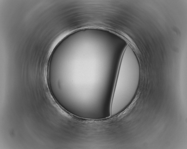 X0000113270812200909101309