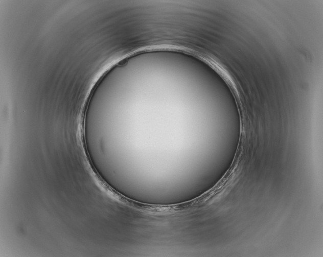 X0000113270813200909101309