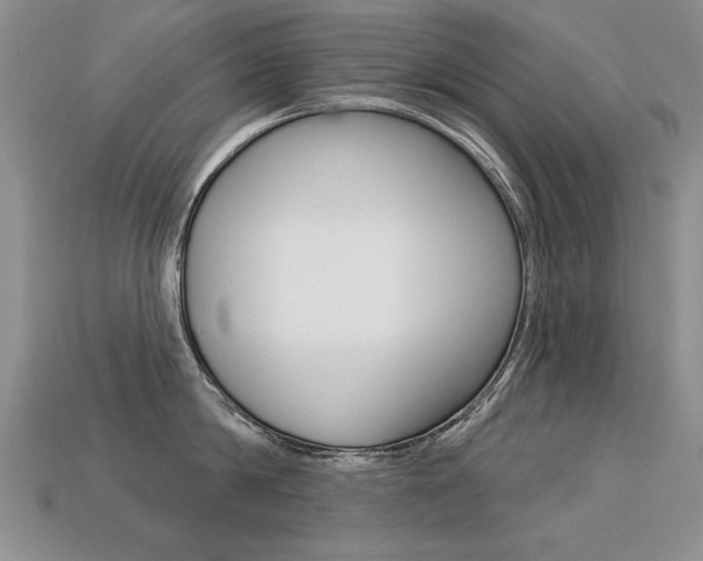 X0000113270814200909101309
