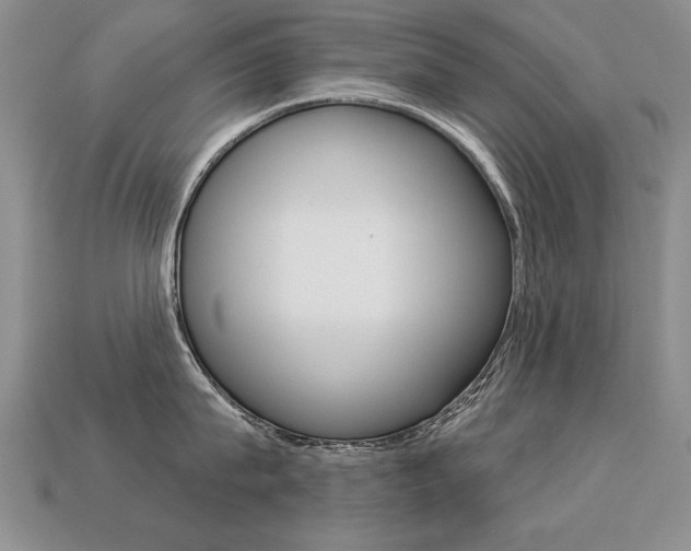 X0000113270815200909101309