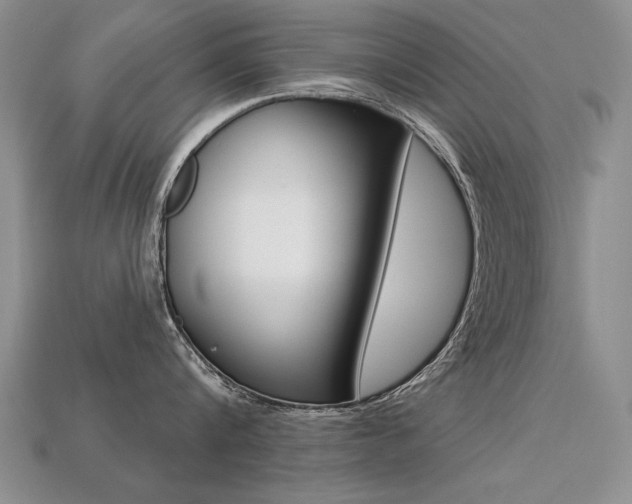 X0000113270816200909101309