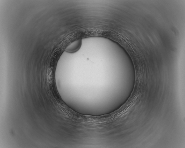 X0000113270818200909101309