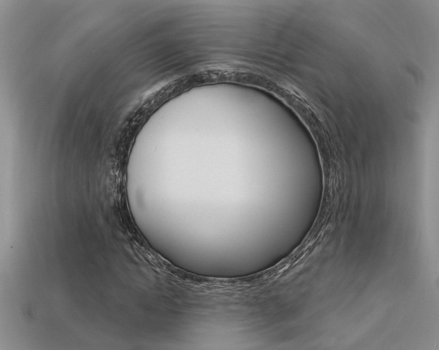 X0000113270822200909101309