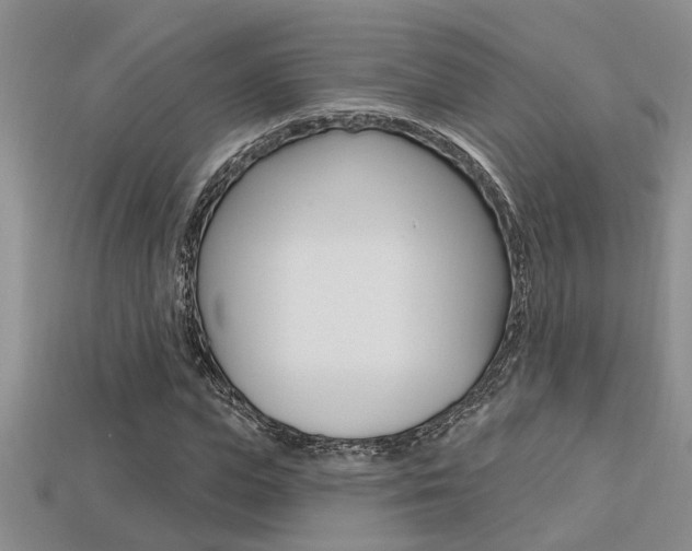 X0000113270823200909101309
