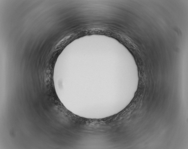 X0000113270824200909101309