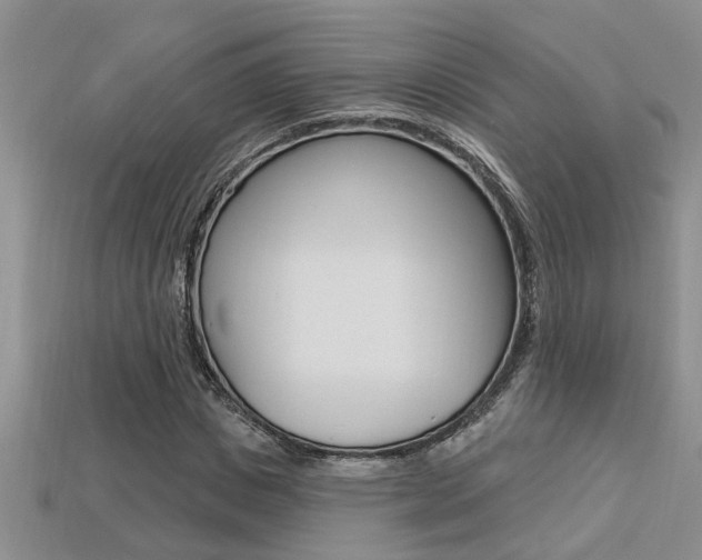 X0000113270825200909101309