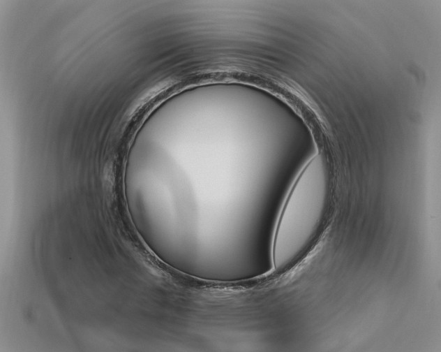 X0000113270826200909101309