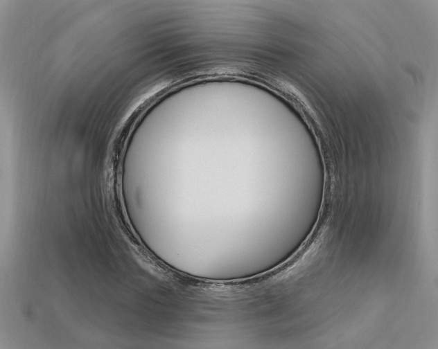 X0000113270827200909101309