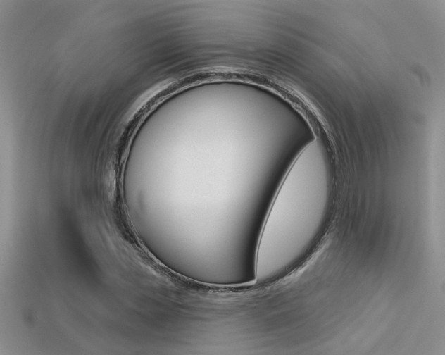 X0000113270829200909101309