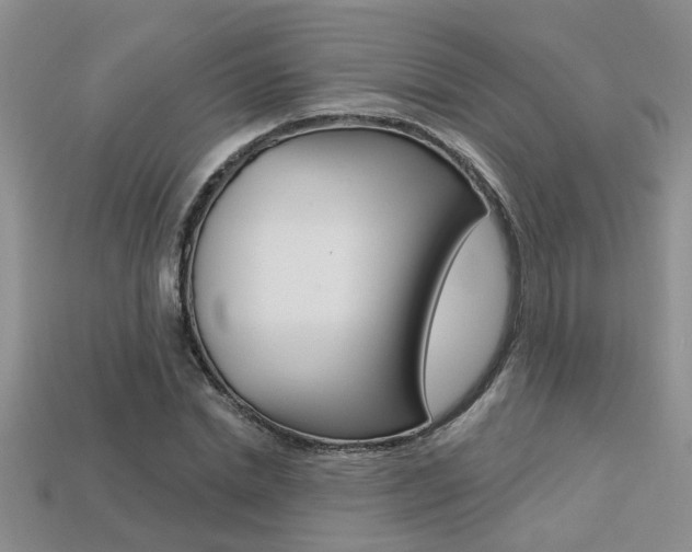 X0000113270830200909101309