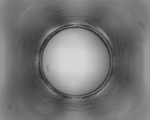 X0000113270831200909101309
