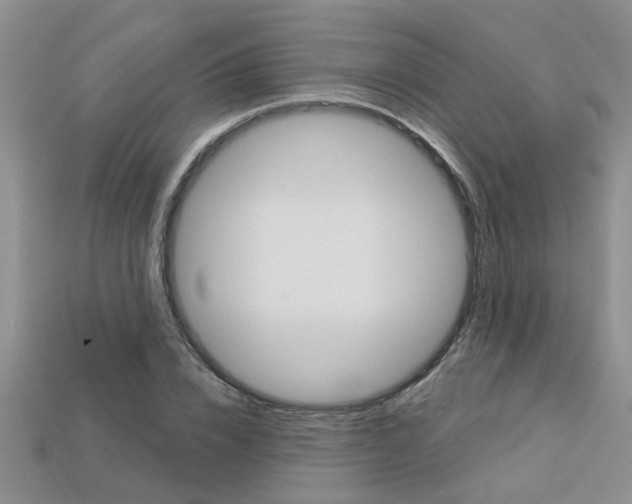 X0000113270832200909101309