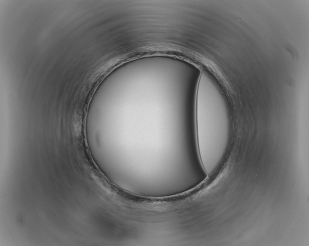 X0000113270833200909101309