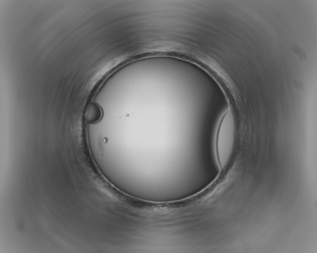 X0000113270834200909101309