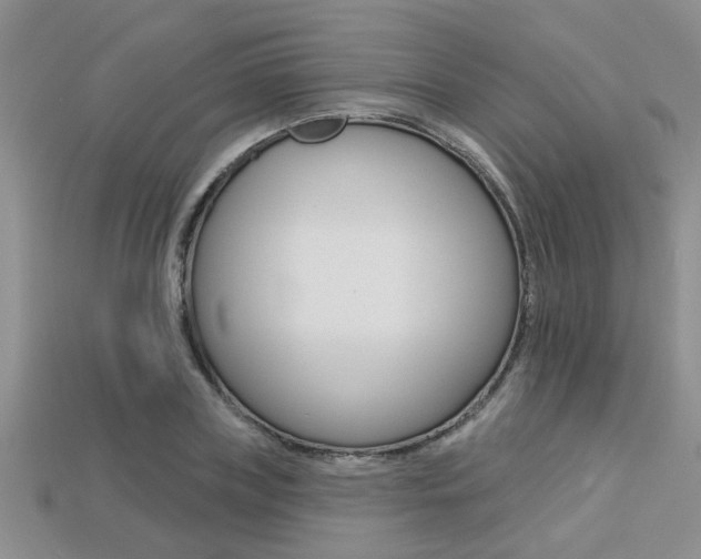X0000113270835200909101309