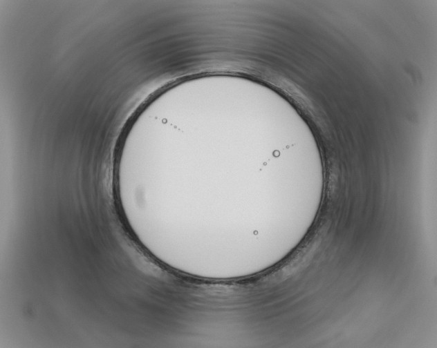 X0000113270836200909101309