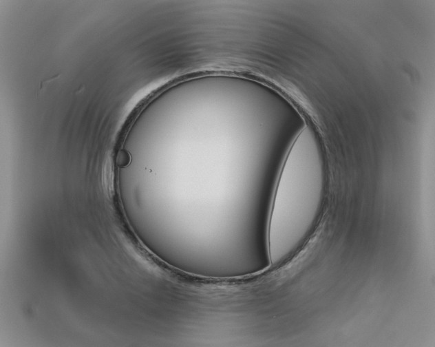 X0000113270838200909101309