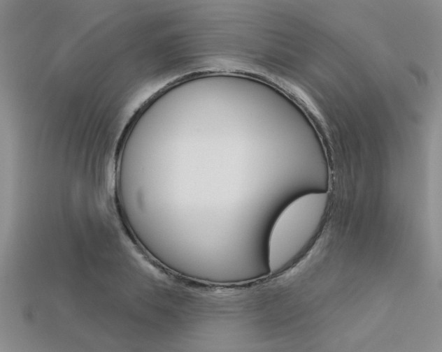X0000113270839200909101309